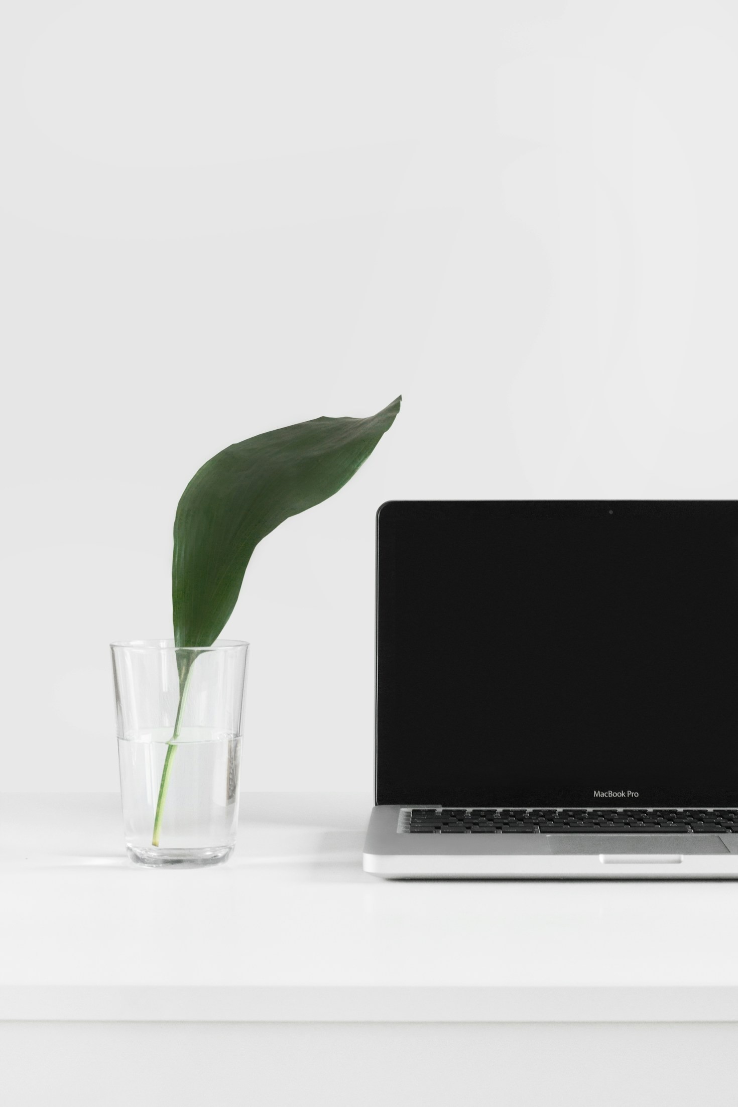 Lessons from Justine’s Journey in Technology